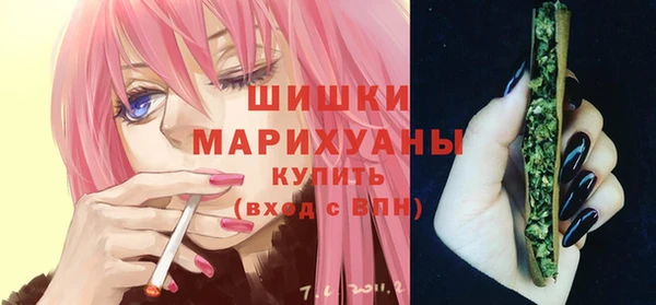 spice Гусиноозёрск