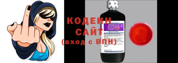метадон Гусев