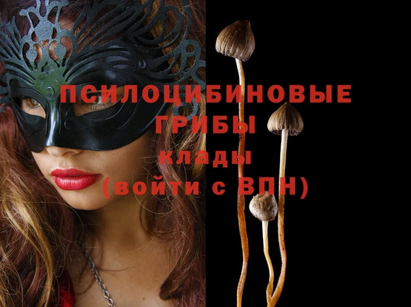 метадон Гусев