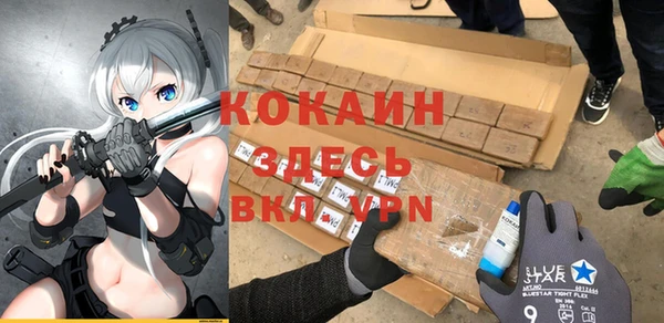 spice Гусиноозёрск