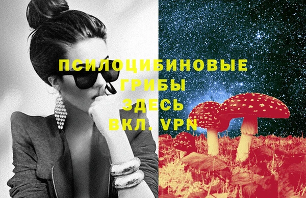 a pvp Гусь-Хрустальный