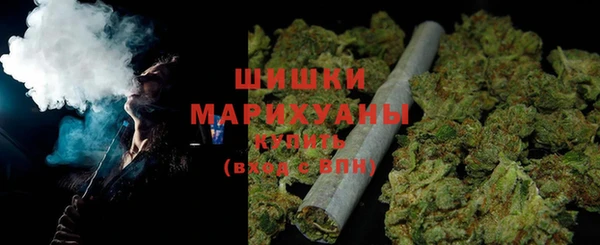 spice Гусиноозёрск