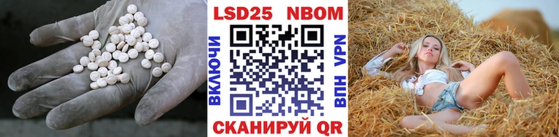 Купить закладки  Черноголовка  LSD-25 экстази ecstasy 